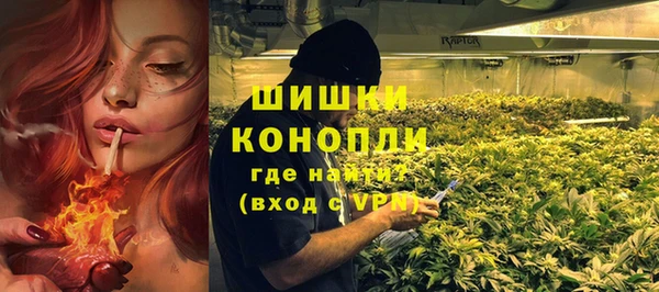 шишки Алексин
