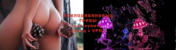 ALPHA PVP Алексеевка